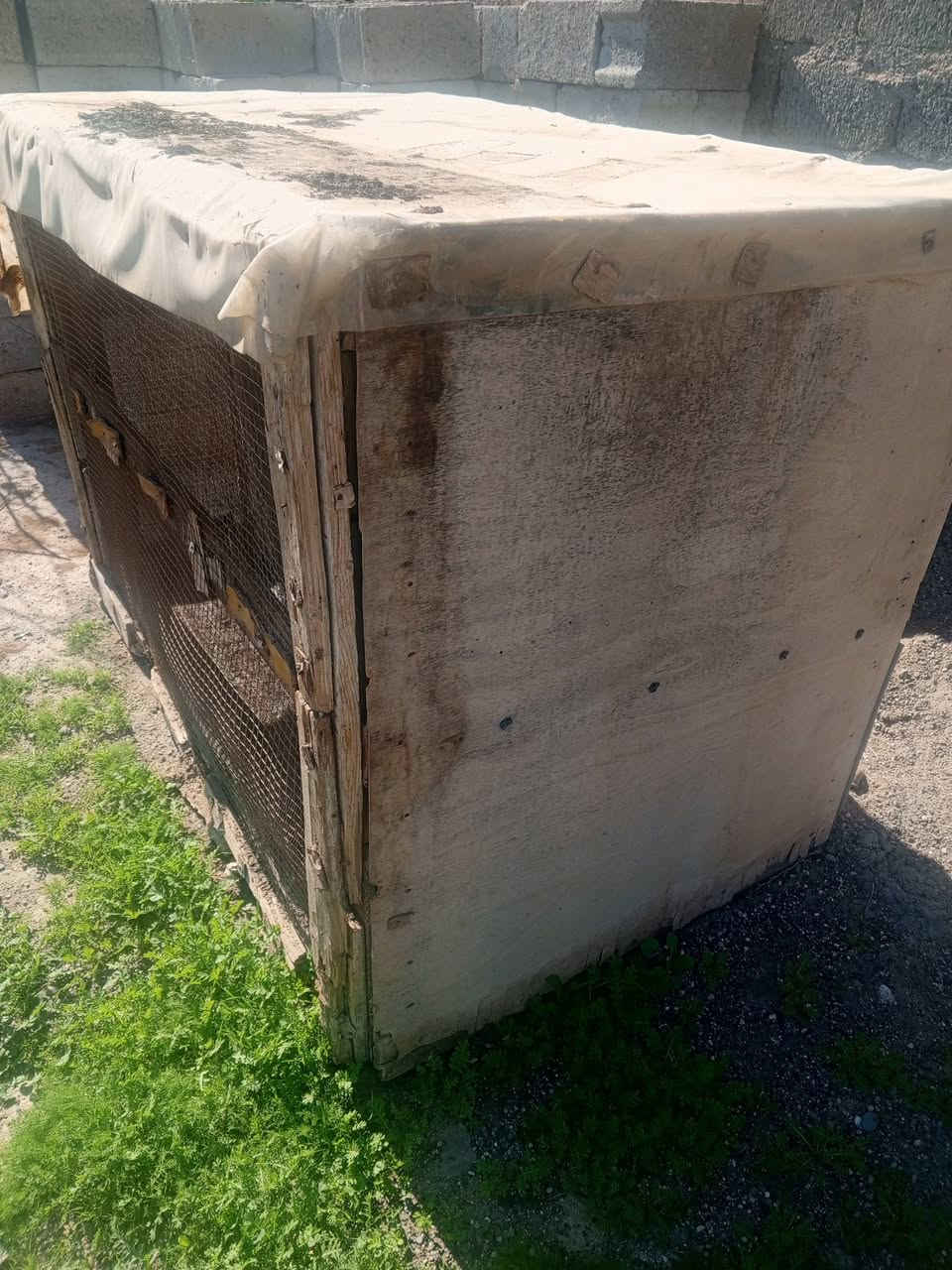 قفص خشب ثقيل واجهة مترين الا 20سم × عمق متر و10سم × ارتفاع متر و20سم
الواجهة دبل سيم ... سقف ما يعبر قطرة مي

السعر 35 قفل 

قاطع السبعاويين   ه‍ ‏‪***********‬‏
