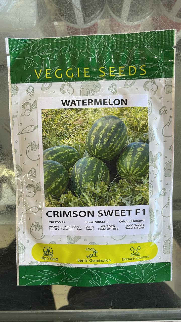صنف كريمزون سويت (CRIMSON SWEET F1 - CRISTO F1) – من شركة Veggie Seeds:
​المواصفات الفنية: نسبة نقاوة 99.9%، ونسبة إنبات لا تقل عن 90% (فحص حديث 02/2026) (كما يظهر في الصورة 1000112551.jpg).
​المميزات: ثمار مخططة جذابة، إنتاجية فائقة (High Yield)، جودة إنبات عالية (Best in Germination)، ومقاومة ممتازة للأمراض (Disease Resistant).
​عبوات مغلفة ومضمونة 100% (تحتوي العبوة على 1000 بذرة).
​📞 للحجز والاستفسار وطلب كميات الجملة والمفرد، يرجى الاتصال بنا أو مراسلتنا عبر الواتساب:
​الاتصال المباشر: ***********
​واتساب (WhatsApp): ***********
