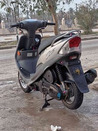 ماكس منغولي • فول نضافة • ديوانيه جلبيه