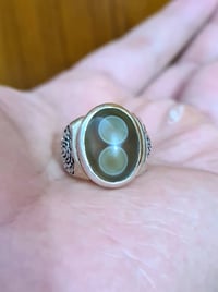 سليماني • عينتين زيتوني • قياس ٢١