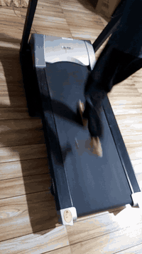 جهاز جري (Treadmill) مميز للبيع – نظافة تامة 🏃‍♂️
​لأصحاب الرشاقة والرياضة المنزلية، جهاز جري مستخدم بحالة ممتازة جداً (نظيف جداً) وشغال 100%، جاهز للاستخدام المباشر.
​أهم مواصفات الجهاز:
​نظام الانحدار (Incline): تحكم كهربائي بالميل لزيادة حرق الدهون وتقوية العضلات.
​البرامج: يحتوي على 10 برامج تدريبية متنوعة (سرعة وميل) تناسب جميع مستويات اللياقة.
​لوحة التحكم: شاشات ديجيتال لعرض (السرعة، المسافة، الوقت، السعرات، ونبض القلب).
​التحكم الذكي: أزرار سرعة وميل مباشرة، مع أزرار تحكم إضافية على المقابض الجانبية.
​التصميم: قابل للطي لتوفير المساحة، مزود بمفتاح أمان للتوقف الطارئ.
​💰 السعر: 350 ألف دينار
📍 الموقع: البصرة.
​للتواصل والاستفسار *********** واتس اب
