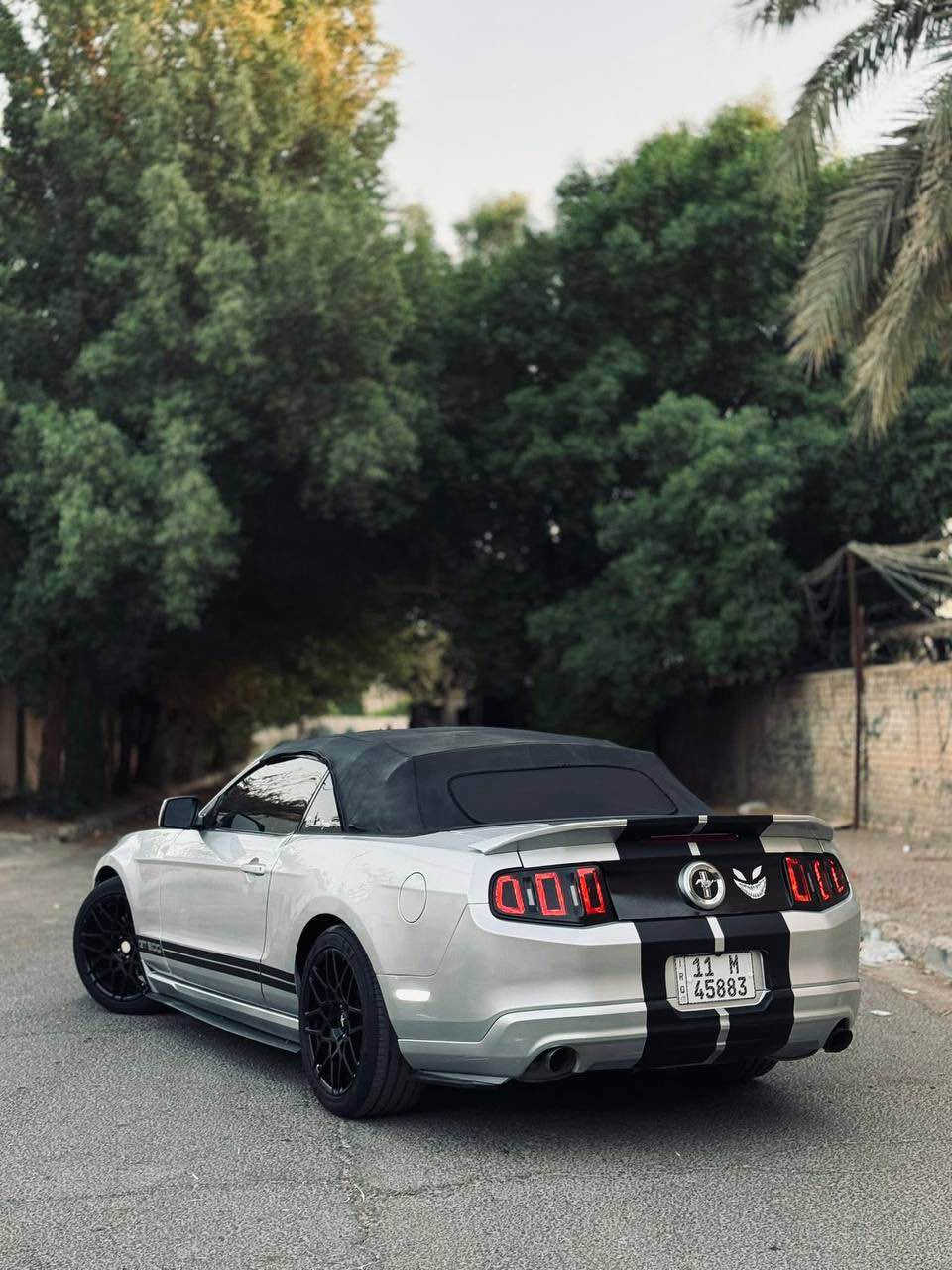 فورد موستنك

موديل 2012

رقم بغداد بأسمي تحويل مباشر

هزه جديده وارقام دولي

مكينة 3700 v6

ماشيه 57 mi

منظومة تبريد جديده ثلج

داخل جلد وكنتارا 

لايتات زينون

شاشة وكامره خلفيه

تخم تاير جديد

ويلكب شيلبي SVT اصلي حجم 19

سبايدر شيلبي

دوسات شيلبي

داخل دزاين شيلبي 

وشم شيلبي

لحية RTR

شباك بوني بكج

فسفورات تكساس

عليهه تفريغ وداون بايب واكس بايب وبرمجة

السياره حادثهه بامريكا دعامية وسرقة جاملغ الصدر

شاصي ولغد مكفول

كهربائيات بلاد

سيرفس صفر مسج 

السياره جاهزه لآخر حبة بدون نقص

بالعراق صار بيهه ربع البنيد معجون

رش حزام جماليه بسبب جراد تصوير قبل الصبغ موجود على ايدي

السعر 91 وبيها مجال 

مكاني بغداد / البياع 

*********** بغداد, العراق
