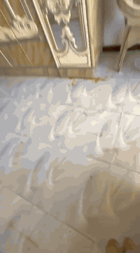 سلام عليكم ورحمة الله وبركاته من مزاد الاخوين لبيع الاثاث المنزلي الجديد ولمستعمل غرفه نوم مستعمل خشب صاج حطاطه نضاف فول اخو جديد ديالى شهربان شارع المصرف القديم مقابيل دكتور قيس اتصل واتساب فقط  ***********
