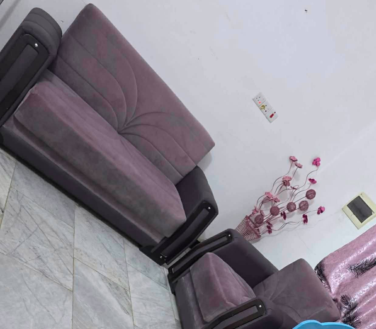 تخم للبيع مستخدم  السعر ٣٠٠ للاتصال ***********
