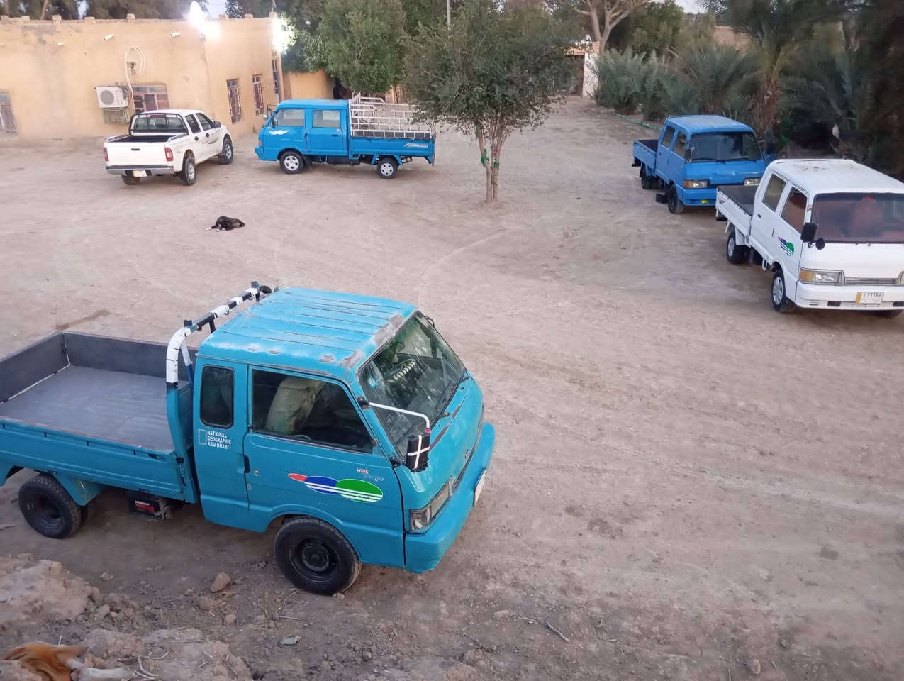 للبيع كيه بنكو قماره وربع موديل ٩٤بغداد سياره جاهزه للجناي مكينه كير اكسل شاصي  مكفوله المكان بابل الشوملي السعر٤٤وبيه مجال***********
