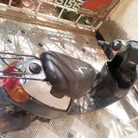 بتره خطين شغاله نقص شوته وجوزه 150الف 07867576649