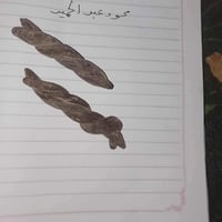 عروق السواحلى • أصلي