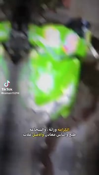 البيع 07783778845