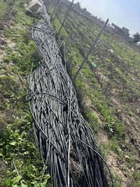 صوندات تقطير مسافة ٢٥ سم بين كل نوزل نوع تركي اصلي نانسان مستخدمات موس...