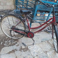 بايسكل • فول • للبيع