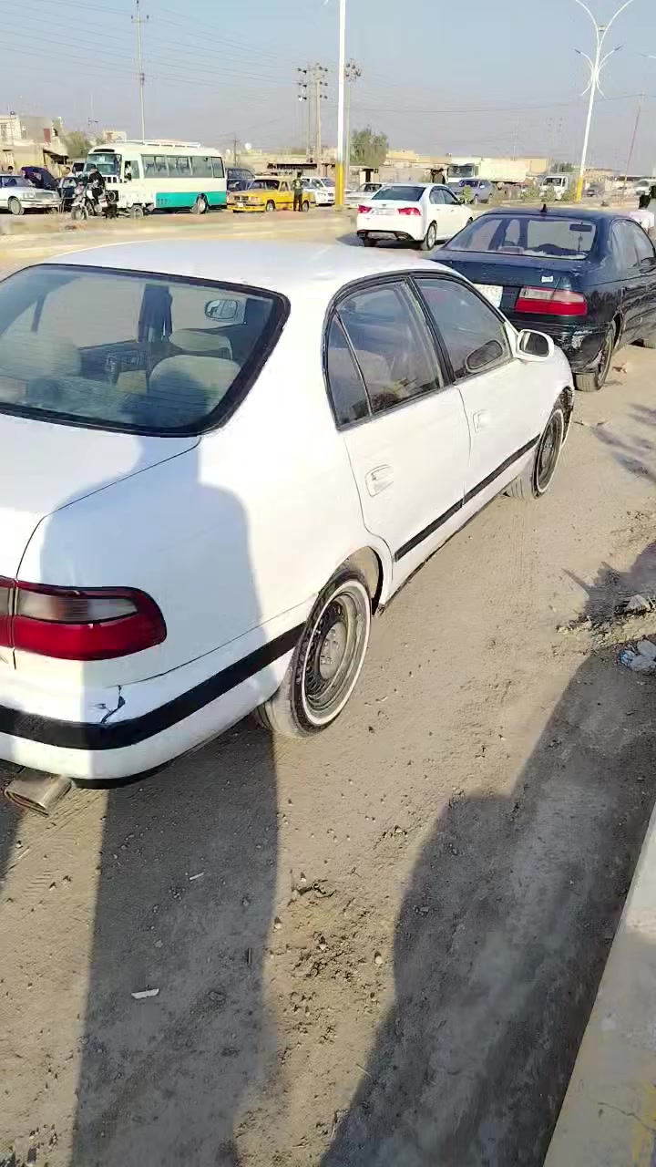 كرونه فرخ بطه مديل 1992رقم أنبار بسمي سنويه لل ٢٨جاهزه حداديه مكينه وكير كورله نحله ١٦٠٠ كفاله عامه كص ونقل وعيب شرعي بيه طخه بصيطه وكدام عينك بيه كتاب مال فص سونار *********** السعر ٣٨بيه مجال جوه ال ٣٥لاتراسل ولا تتصل
