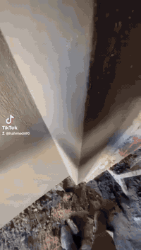 نشتغل بضمير، لأن ندري هذا بيت العمر. لبخ درجة أولى وضمان من الفطور." "...