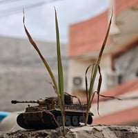 تايغر I • ١/٧٢ • جديدة