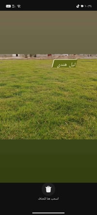 في بداية الموسم الجديد نعلن لكم بيع الثيل الهندي #درجة اولى خضار ١٠٠./...