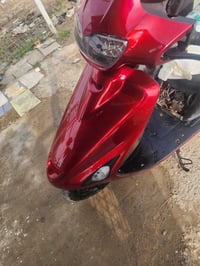 فراشة • فحل • محرك مايبخير