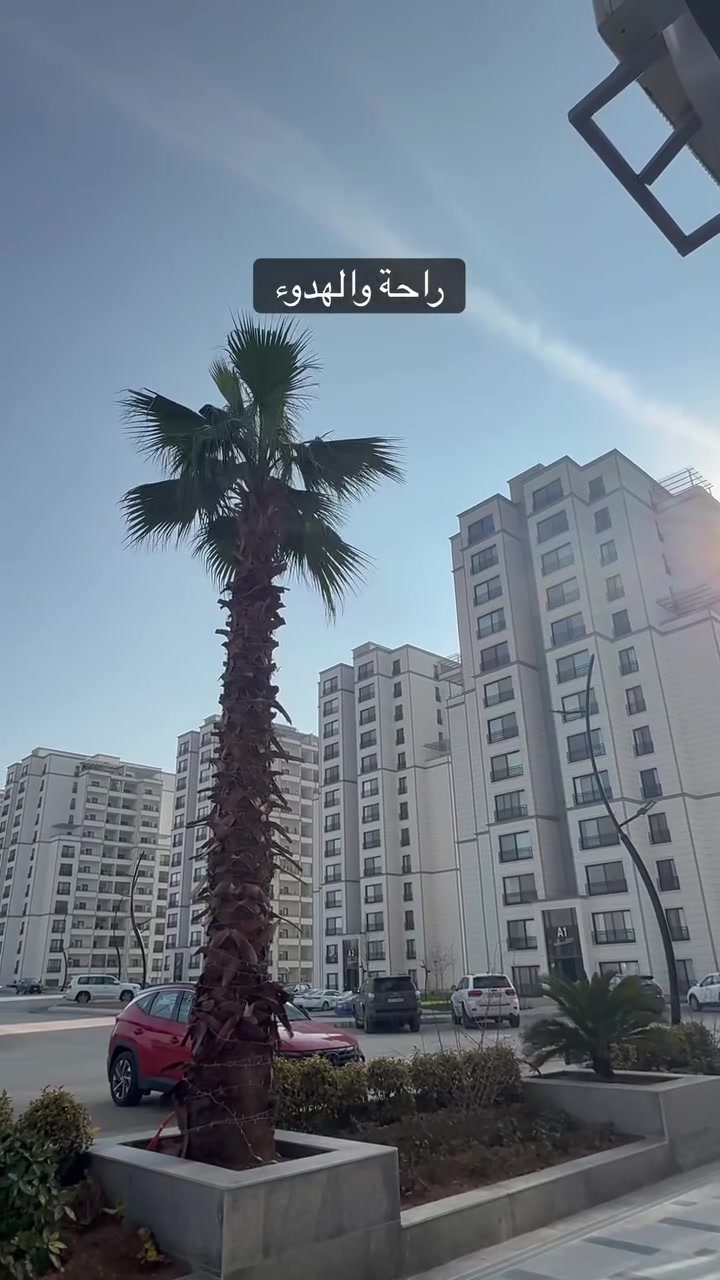مجمع فلوريا ستي واحد من اكبر و ارقي مجمع باربيل استلام مباشر و قيد الانشاء بنضام اقساط و نقد شقق من الستوديو الي 5غرف نوم موجود فلل 220متر الي 1000متر ***********
*********** نوزاد محمد  #عقارات_عراق #قرية_اسبانية #شقق_اربيل #فلوريا_ستي #عقارات_اربيل #عقاراتللبيع #نوزاد_محمد #باب_النجاح #اقساط #اكسبلور #foryou #نوزاد_محمد #باب_النجاح
