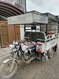 ستوته • كفالة ١٨ • ديالى