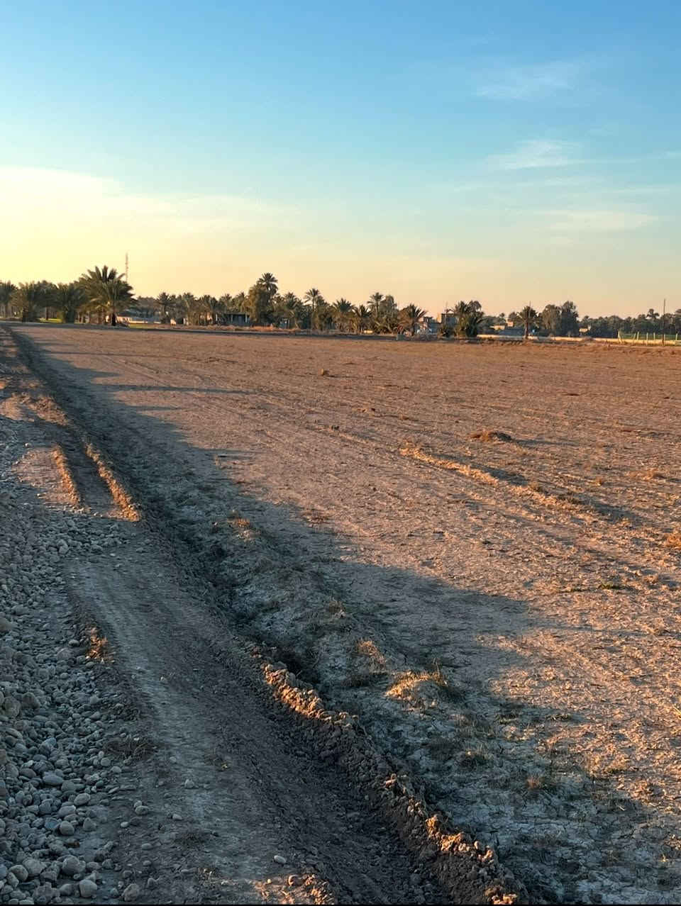 دوانم طابو زراعي سند ٢٥
ابي غريب منطقة ال ١٠ مناصير 
كامل خدمات كهرباء قشط 
وجه ٥٠ في ٥٠ أو ٤٢ في ٦٢
سعر الدونم :-٧٥
للاتصال:-***********
