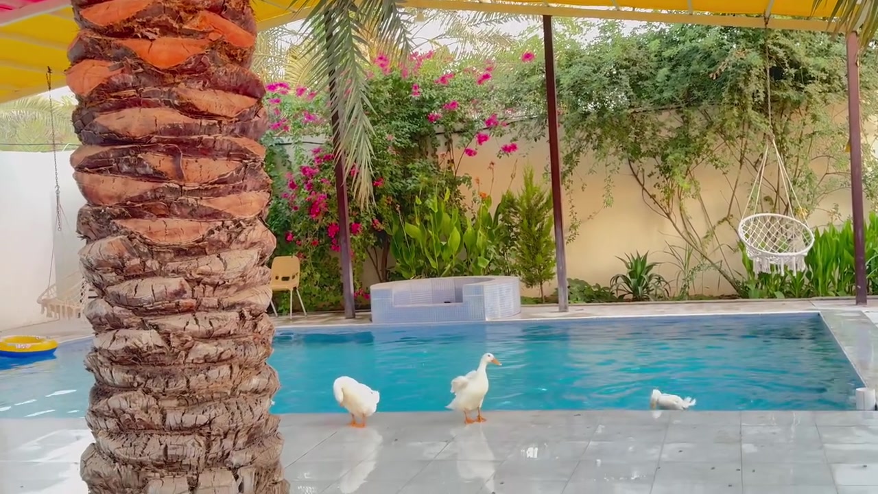 احلى مزرعه🩵موقعها بلد
سعر الشفت ٢٠٠
الشفتين خصم
تواصلو واتساب
***********
