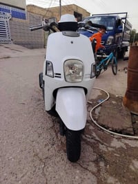 دراجة بوليس • أوراق • ميسان حي الفناني