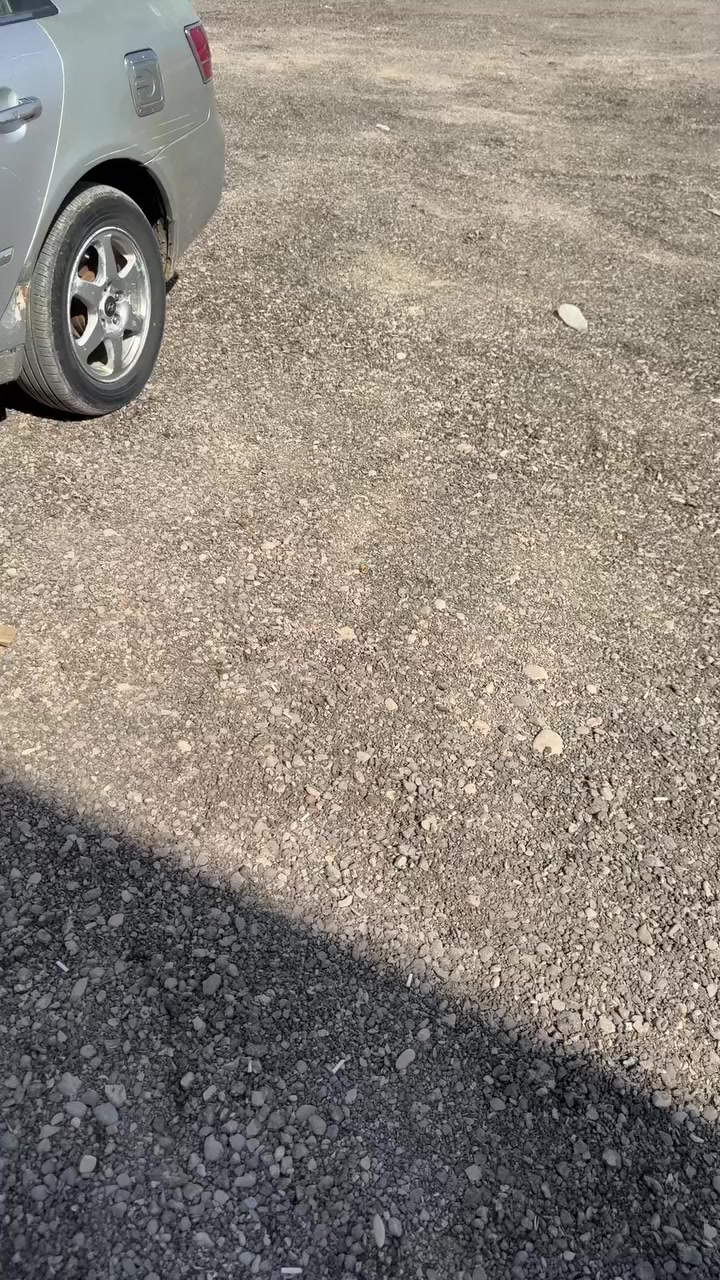 سوناتا 2007 رقم بغداد يرادلهة صبغ عام محرك 6 سلندر بيهة منظومة غاز 80 لتر ترايك وين ما تريد بيهة ميكانيك بدون اي نقص تبريد ثلج مكانهة بعقوبة ادور مراوس حسب القناعة وانطي فرق مو مشكلة 
تلاحظون بيهة تبديل واضح بالتصوير الاول والثاني 
***********
