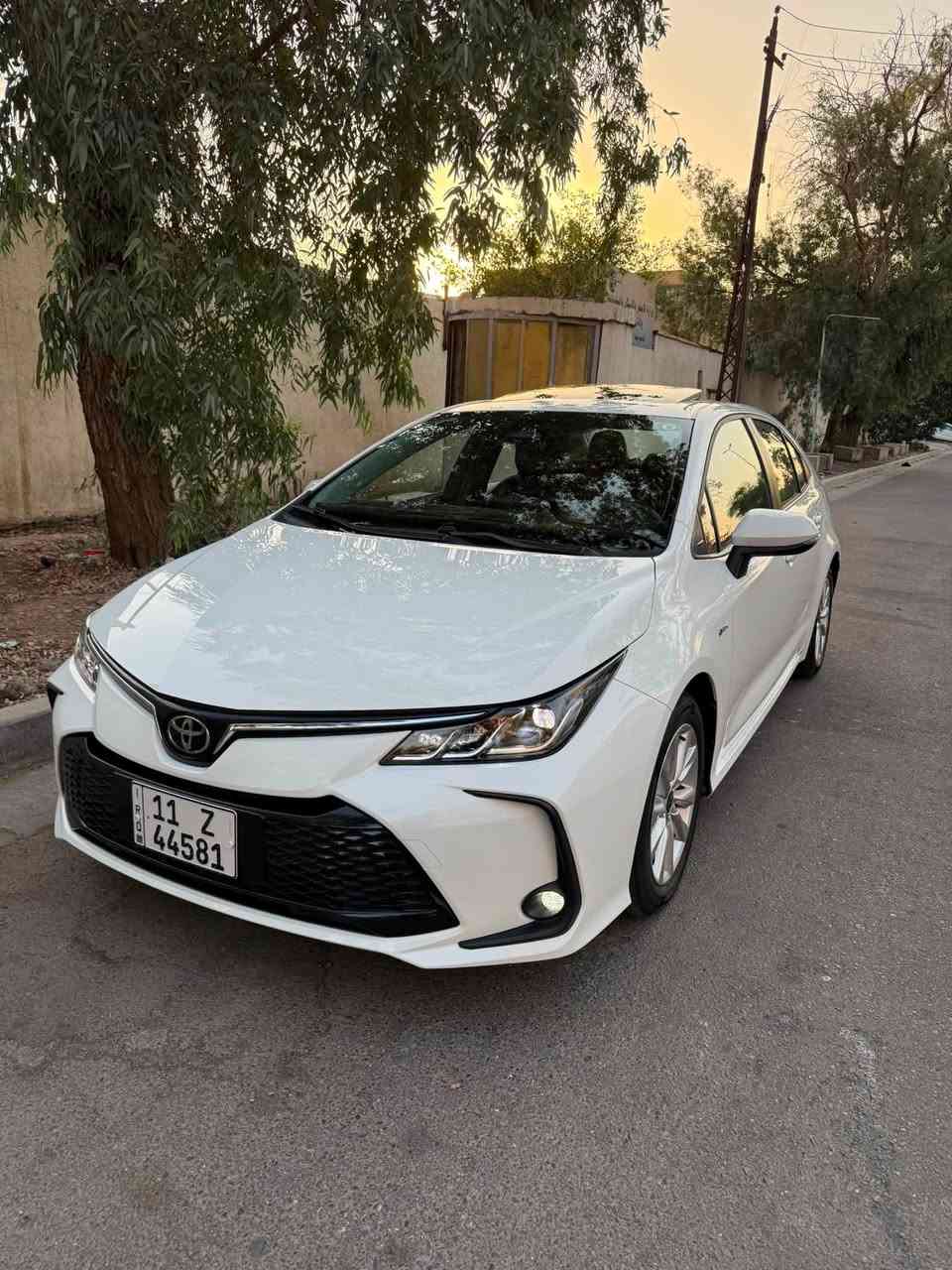 السلام عليكم
كورلا ٢٠٢٥ هايبرد شكل خليجي مكفولة كفالة عامة 
عداد المشي 16 الف فقط فول مواصفات 
فتحة 
بصمة دخول + تشغيل 
لايت زنون 
ويل كب حجم ١٦ 
اشاير بالمري 
بك لايت Led 
دشبول دجيتل 
شاشة 
كامرة دوارة 
رادار امامي تفاعلي 
تبريد شاشة 
ثلاث انظمة قيادة 
ايفي مود هاند بريك كهرباء اوتو 
اوتو هولد 
قطعتين تبريد 
منافذ شحن 
السيارة كاملة مكملة و مابيها كل نقص 
و مكفولة كير مكينة صدر كهربائيات تبريد كلهن بشرط السيارة اخت الزيرو 

السعر 24,300,000 د.ع

للاستفسار *********** 
مكان السيارة بغداد الكرادة
