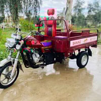 ستوته • فحل • ٢٠٢٠