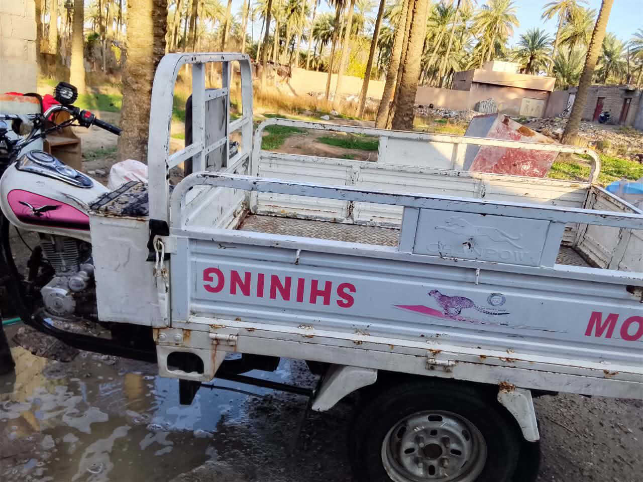 يالله سلام عليكم ستوته أمل طير شماليه موديل 16تعمير 19ستوته كفاله عامه اسعر مليون ***********
