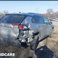 راف فور • هايبرد • ٢٠٢٣