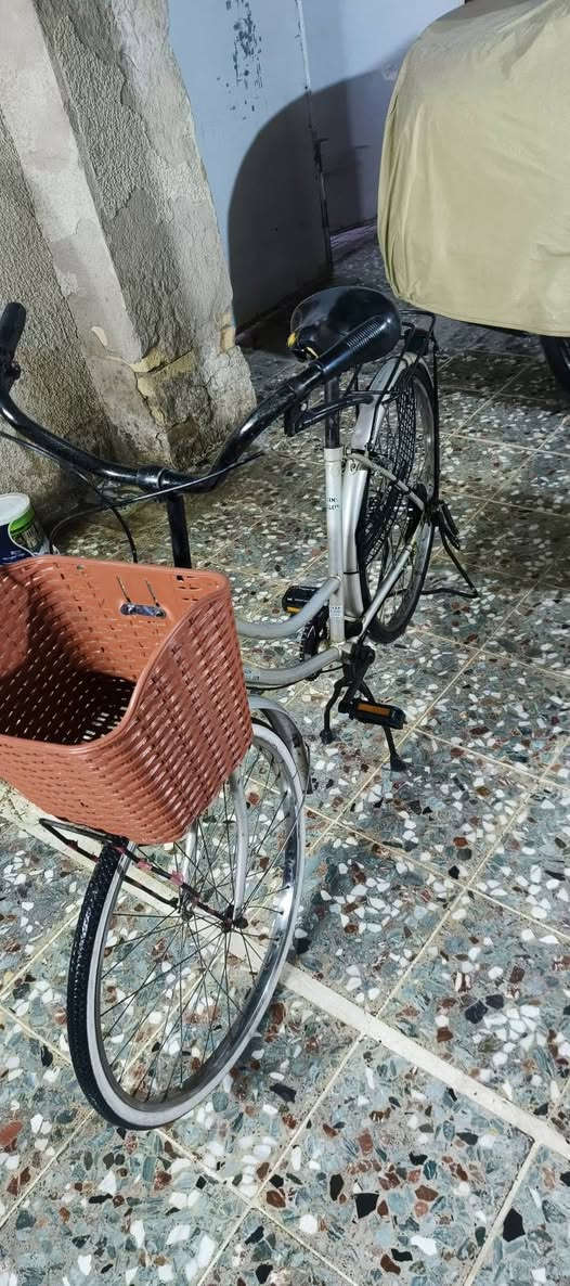 السلام عليكم
بايسكل بناتي للبيع
بايسكل نضيف مابي شي
يرادله شوي ترتيب
السعر:50وبي مجال
المكان:الحسينيه الراشديه
الرقم:***********
