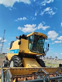 حاصده • حجم ٥٠-٨٠ • اربيل