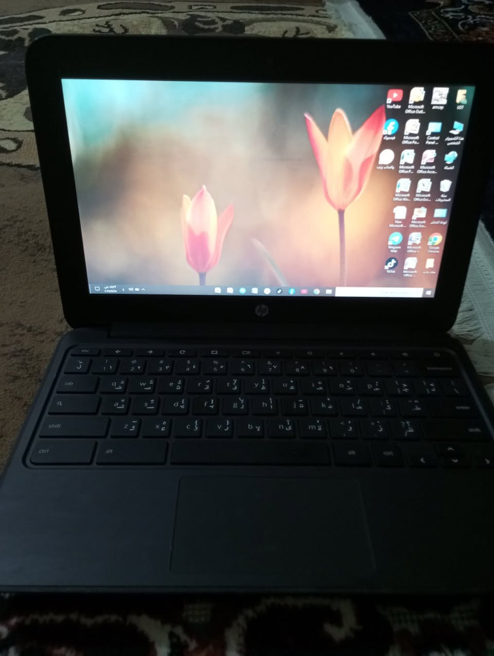 السلام عليكم ورحمه الله 
لابتوب شغال hp نظيف للبيع مستعمل قليل جداً السعر 85الف وهذا رقمي ‏‪‏‪ 0772 972 6852‬‏
