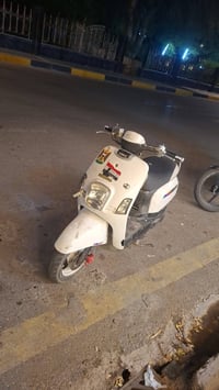 بوليس نوزل • ٢٠١٠