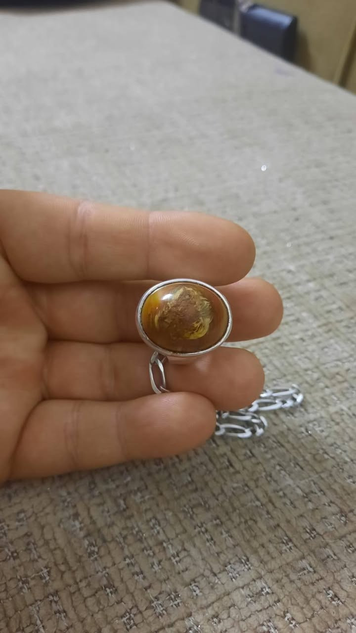 مرخصه صاحب الكروب محبس داوودي قديم مصور للبيع مراسله الخاص واني خادم


**إذا كنت صاحب هذا الإعلان وتريد حذفه لأي سبب، رجاءا أرسل رسالة إلى الدعم الفني**