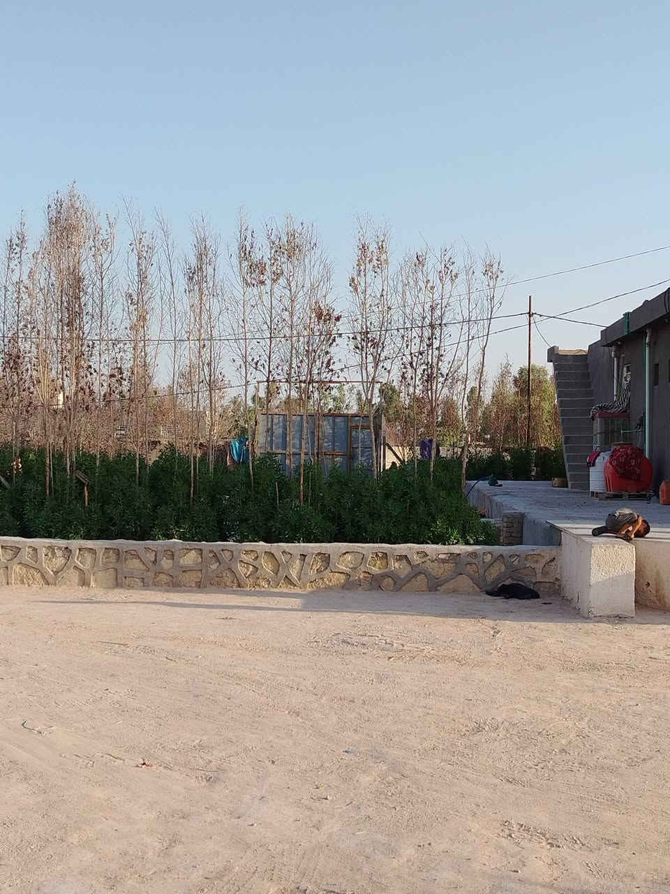 من رخصت الادمن
السلام عليكم للبيع مزرعه دونمين عقد 35 مشموله بقرار 320 طريق كربلاء نجف عمود 238 طريق ياعلي قرب مستشفى الامل تبعد عن الشارع العام 500متر المزرعه عبار على شارعين شارع 20 م وشارع 10م ماء وكهرباء مدارس مستوصف تحتوي على دار مساحه 350 متر 4 غرف نوم /صاله كبيره /مطبخ /استقبال 10 *4 /صحيات داخليه /صحيات خارجيه/تحتوي على بير ماء /نخل عدد22 مثمر ألوان ممتازه /أشجار رمان مثمر / مكان لتربيه الحلال /مولده خاصه/مولده شارع / تصلح حسينيه
السعر 195مليون مع المجال للاستفسار أكثر *********** عير متواجد على الفيس
