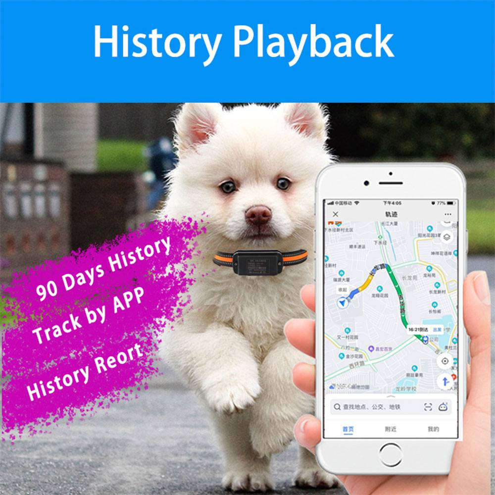 شلعه 30 الف


**إذا كنت صاحب هذا الإعلان وتريد حذفه لأي سبب، رجاءا أرسل رسالة إلى الدعم الفني**