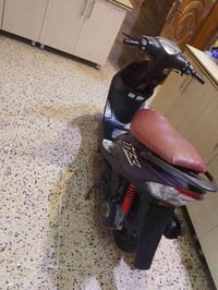 ماكس عدله • جديدة • كفاله عامه