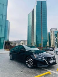 التيما • ٢٠٢٣ • أربيل