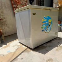 مجمدة • حجم وسط • ما تتجمد