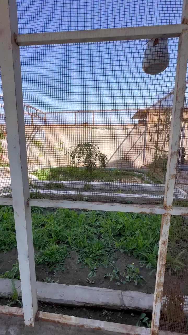 البصرة قضاء المدينة
تعال خاص نتفاهم 
***********
