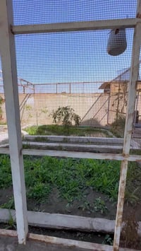 البصرة قضاء المدينة • خاص نتفاهم