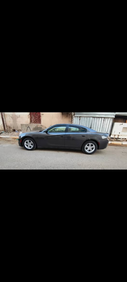 السلام عليكم شارجر 15 23 جاهزه من كل نقص رقم ذي قار بأسمي مشروع وطني
كلين تايتل كندي كفاله  كتاب فحص موجود 
مكاني ناصريه مركز السعر 175
 للأستفسار اكثر 
*********** اتصال + واتساب
*********** اتصال فقط
