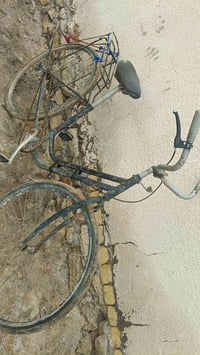 دراجة • للبيع