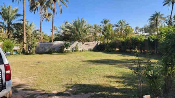 واجه88 م نزال 45 م
معا بيت بناء طابوق مسلح 200 م
وبقطعتين مدفونة 200 ب200
ومع حديقة 60 م
 عدد نخلة 70حمال ونشو 
حمضيات مشمش وكوجه ونارنج ورمان وسفرجل وزيتون وتفاح وتكي وتين ولنك الدنيا
معا أشجار حمضيات 
سعر700ميليوان وبي مجال
 طابو زراعي الاتصال علي ***********
