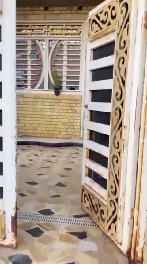 دار للبيع طابق ونص  
                       ((  بس نورنا بتعليقك  )) 
المساحه 200متر بناء حديث يتكون الدارمن استقيال ومطبخ وصاله وثلالثه غرف نوم و صحيات ومناور العنوان ميسان حي الجامعي خلف شارع 30 وقريب على شارع 50  السعر  ( ٢٠٠  ) مليون  
📞 للاستفسار أكثر:     ***********
          مكتب عقارات الساعدي ميسان العمارة
          (  بادرة اولاد  المرحوم حسين ضيدان  ) 
                         (  ملاحظه  ) 
المكتب  مجاز حكومياً ادخل للحساب ناشر ابيوت اي بيت ايعجبك او قطعه  راسلني وتدلل
أعرض عقارك عندنا ودع لنا التسويق
عنـــوان المـكتــب ميسان  
***********     البتيرة الحولي 
***********     البتيرة الحولي 
***********     حي الجامعي 
***********     حي الجامعي ودور النفط  
***********     حي الغدير والصحفين وعبجيه
                      ( ملاحظه  ) 
يوجد لدينا كوادر بناء مقاولات عامه
