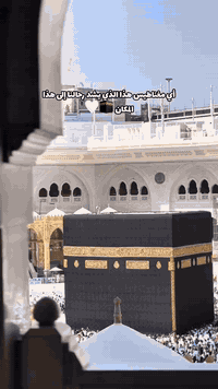 عمرة نصف السنة • تقسيط مريح • سكن قرب الحرم