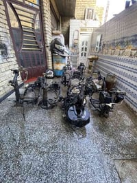 شواصي بلادية سكنس نثيه 110 سكنس نثيه140 فحل طلاعات وبدون طلاعات  ثعلب🦊...