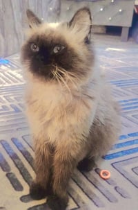 متفرقات • أغراض شخصية