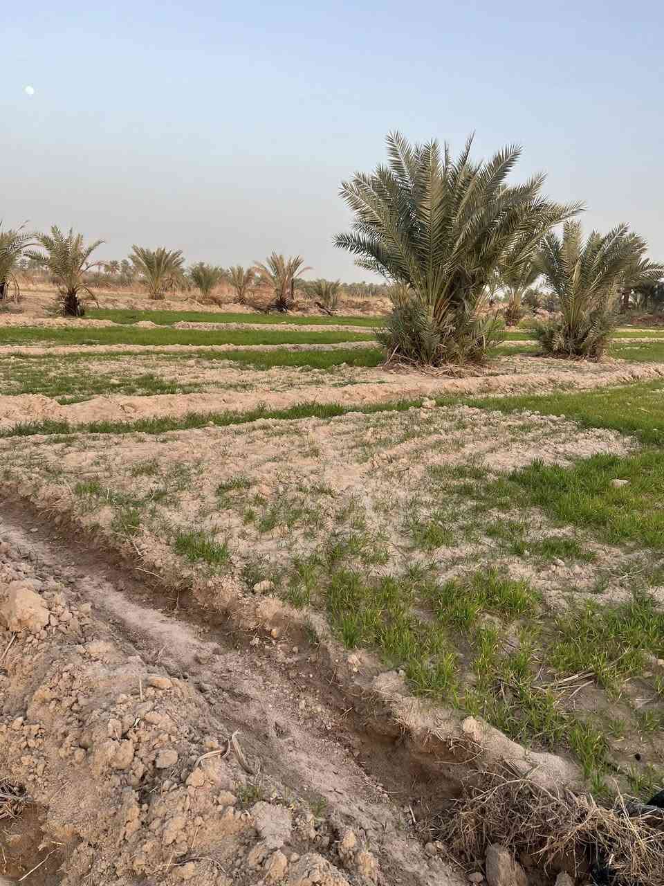 ارض طابو سند 25 (للبيع )   مساحه 19 دونم  
مكان الأرض النجف أبوصخير خلف حي الصناعي او خلف حي البلديات 
تباع كاملتاً او خمس دونم منها 
هذه الأرض تتوفر فيها الخدمات كاملة مثل ما سقي وما اسأله وكهرباء وطريق رئيسي والمنطقة سكنية وزراعية في نفس الوقت 

سعر الدونم 55 مليون 
للاستفسار  

***********                 ومن الله التوفيق لنا ولكم ….￼
