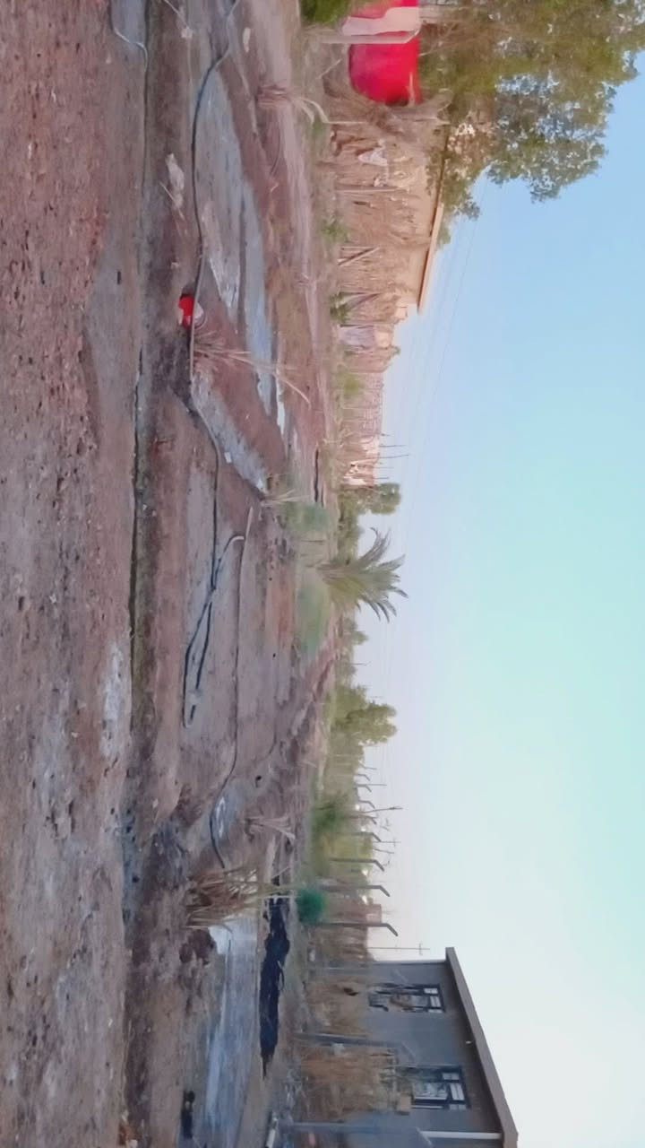🌳🏡 عمي بهذا الموقع والهدوء وراحة البال... ببلاش! 🏡🌳
فرصة ذهبية لامتلاك أرض بموقع مميز وهادئ جدا قريب من جميع الخدمات، ومناسبة للسكن أو إنشاء مزرعة أحلامك او تصلح موكب او حسينية لخدمة زوار الامام الحسين ( ع ) .

📍 العنوان: بابل – قضاء المحاويل  – طريق حلة بغداد – دخول طريق سدة محاويل - مباشرة على الشارع العام

✅ المساحة الكلية:  دونم وربع بدون المحرم الشارع 
تحتوي الارض على عدد من النخيل المتنوع ( مجهول ٫ مكتوم ٫ خضراوي ٫ زهدي ٫ خستاوي ) 
تحتوي ايضا على عدد من اشجار التين والرمان والتفاح والزيتون ) 
تحتوي على بيت كامل مساحته 480 متر 

يحتوي البيت على 
3 غرف نوم مع حمام لكل غرفة 
هول عدد 2 
مطبخ حار ٫ مطبخ بارد
صحيات عدد 3 
ترك
يحتوي على محل خارجي معزول 
كراج + حديقة عملاقة 

✅ تبعد عن شارع العلم حلة بغداد تقريبا 700 متر 
🚰 ماء إسالة متوفر
⚡ كهرباء متوفرة
🏡 مناطق سكنية قريبة
🌳 مزارع وبساتين مجاورة
🛒 قريبة على كافة الخدمات

🌿 فرصة مناسبة للسكن والاستثمار والاستمتاع بأجواء الهدوء والطبيعة بعيداً عن الزحام.

📞 للاستفسار والاتصال:

***********
